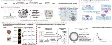 graphic file with name nihms747385f8.jpg