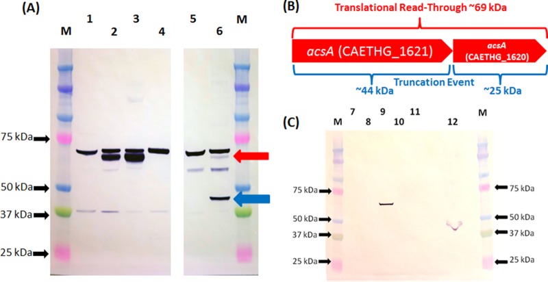 FIG 3 