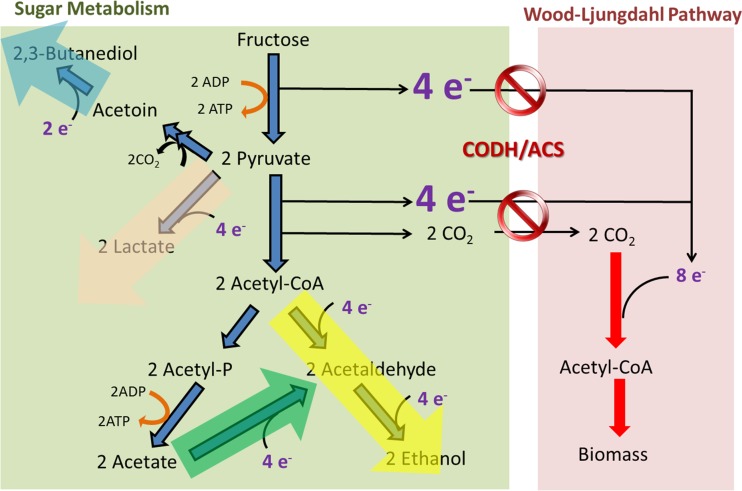 FIG 5 