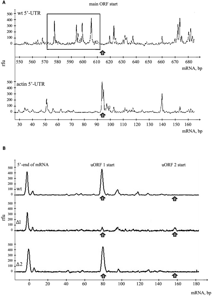 FIGURE 3