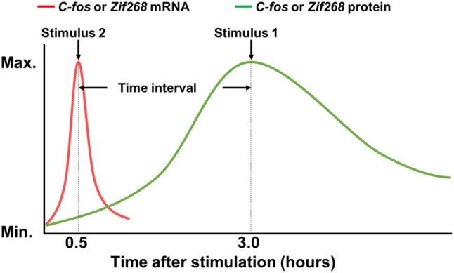 Fig. 1