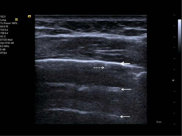 Fig. 7