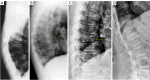 Figure 26