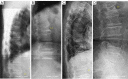 Figure 18