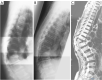 Figure 21