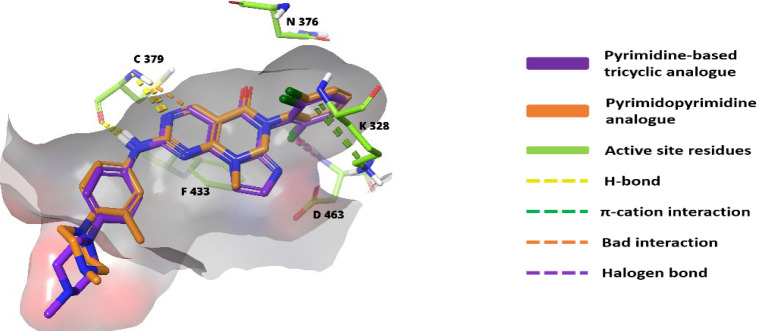 Figure 20