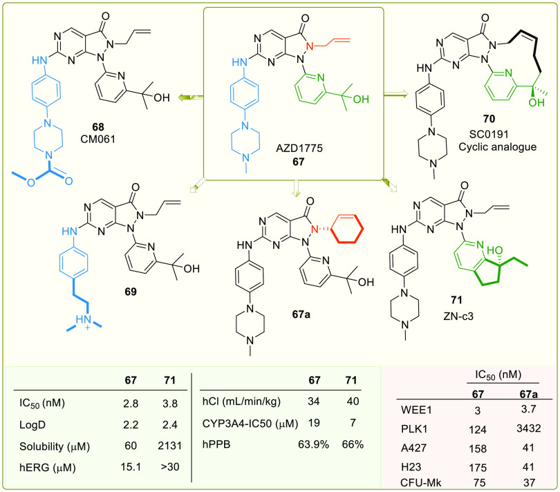 Figure 13