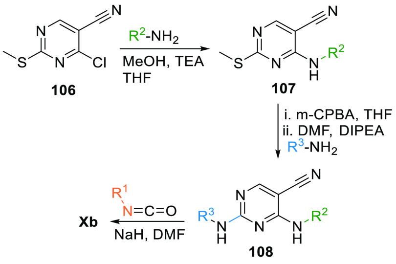 Scheme 18