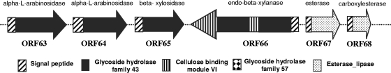 FIG. 1.