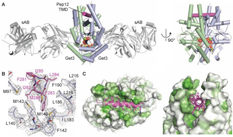 Fig. 2