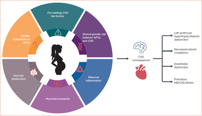 Figure 1: