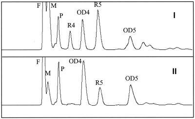 FIG. 7.