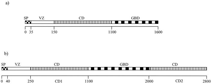 FIG. 2.