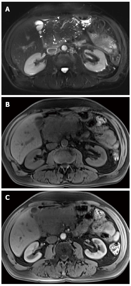 Figure 19