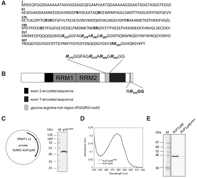 FIGURE 4.