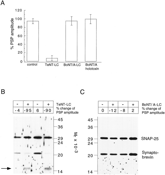 Fig. 9.