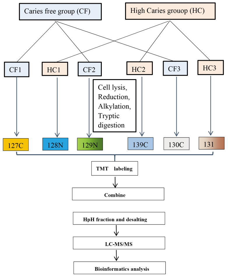 Figure 1.