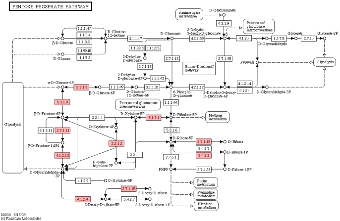 Figure 5.