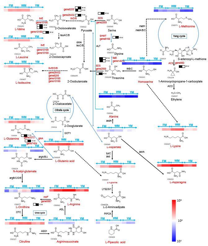 Supplementary figure 3