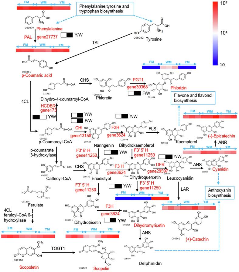 Fig. 4