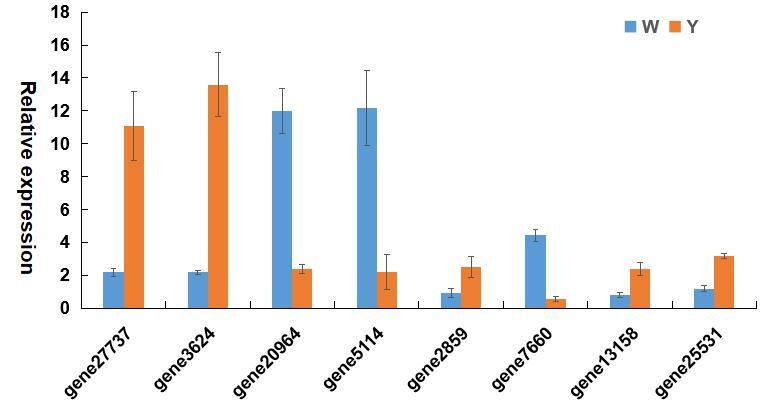 Supplementary figure 2