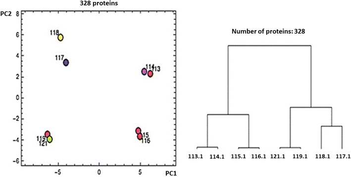 Fig. 4