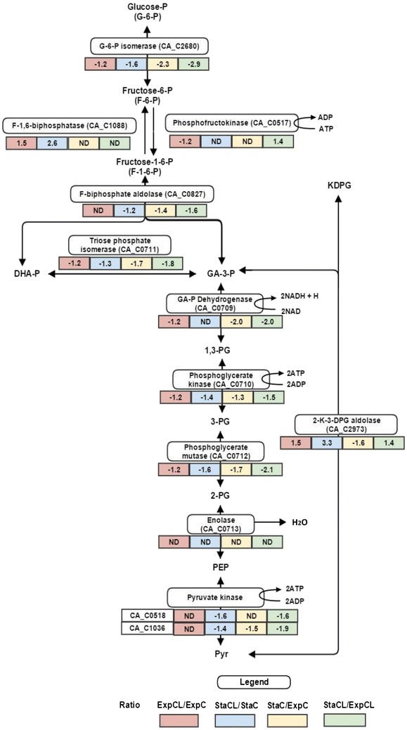 Fig. 6