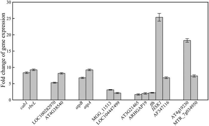 Figure 6