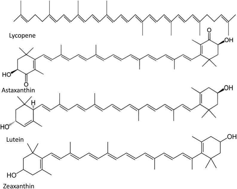 FIGURE 1