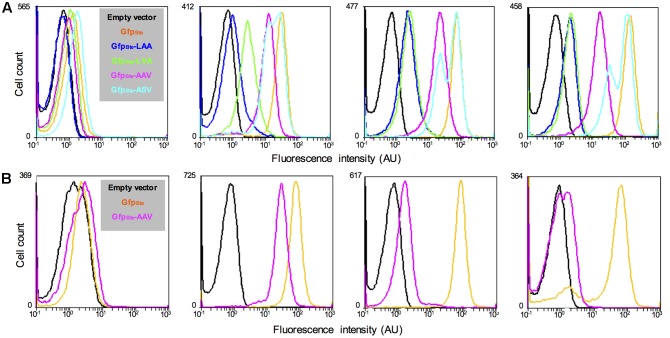 FIGURE 2