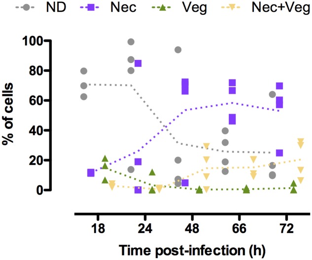 FIGURE 4