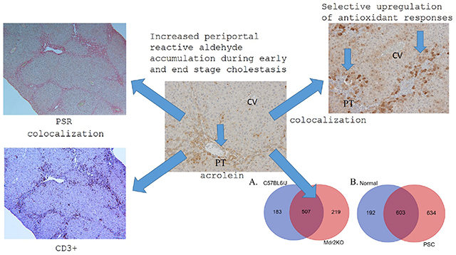 graphic file with name nihms-1537221-f0011.jpg