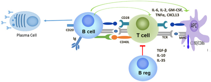 Fig. 2