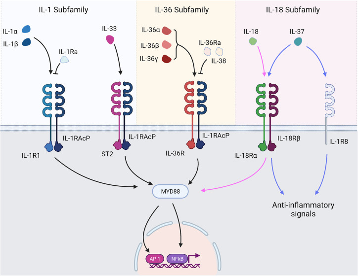 Figure 1