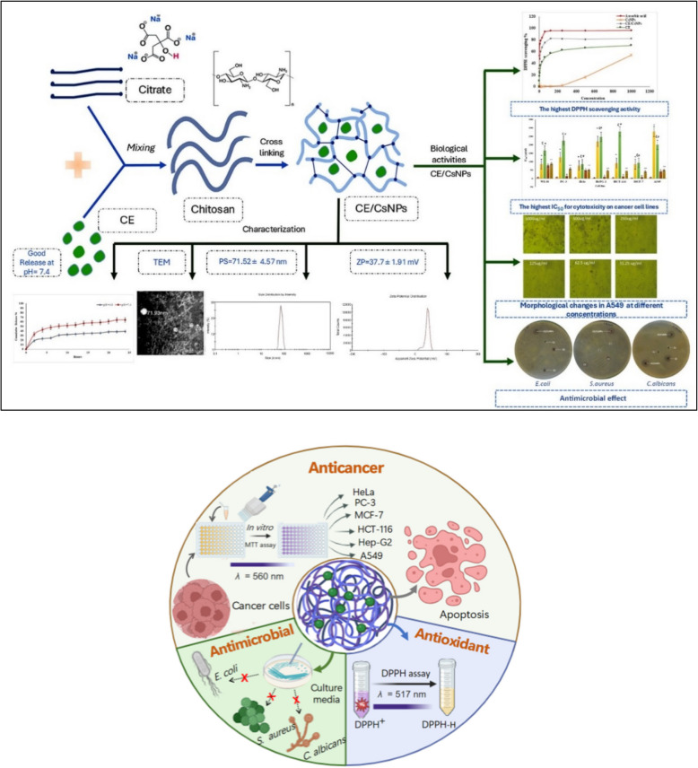 graphic file with name 12906_2025_5047_Figa_HTML.jpg