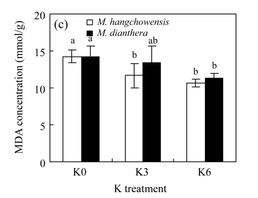 Fig.4