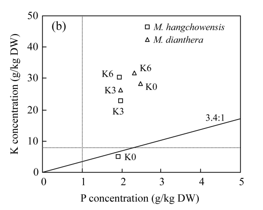 Fig.5