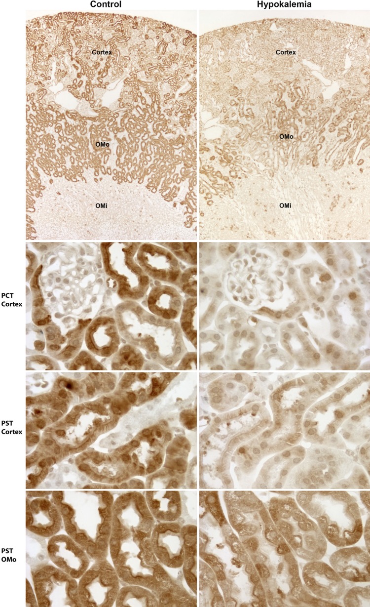 Fig. 8.