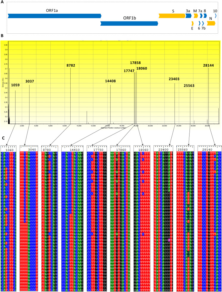 Fig. 1