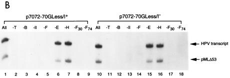 FIG. 7