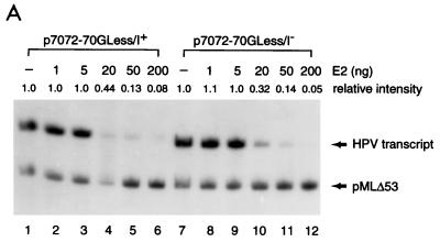 FIG. 7