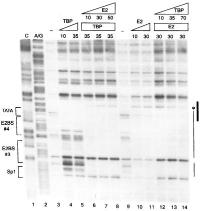 FIG. 5