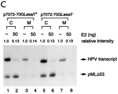 FIG. 7