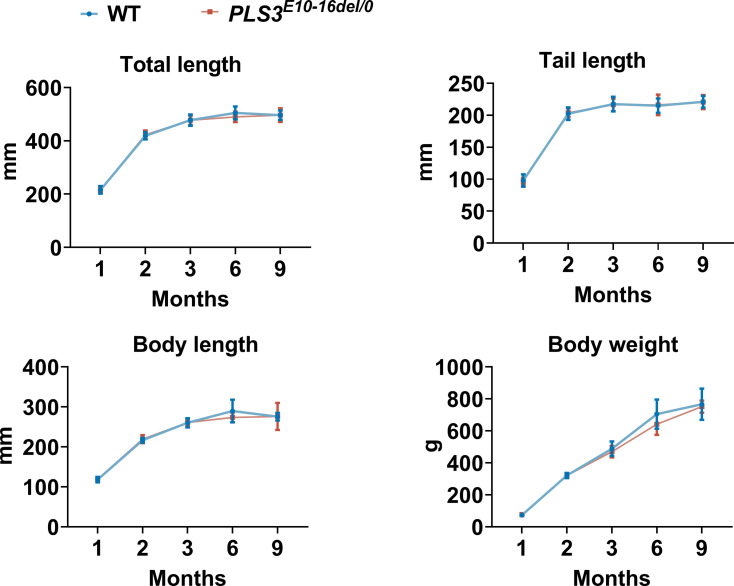 Figure 1—figure supplement 1.