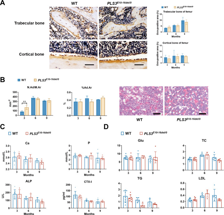 Figure 2—figure supplement 2.