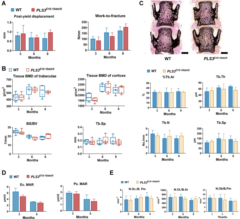 Figure 2—figure supplement 1.