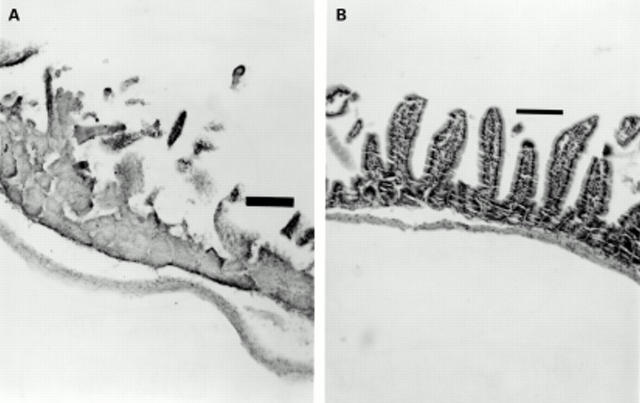 Figure 1  