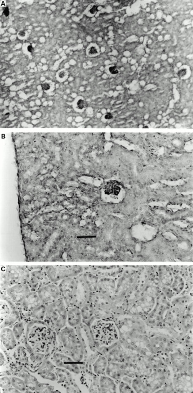 Figure 3  