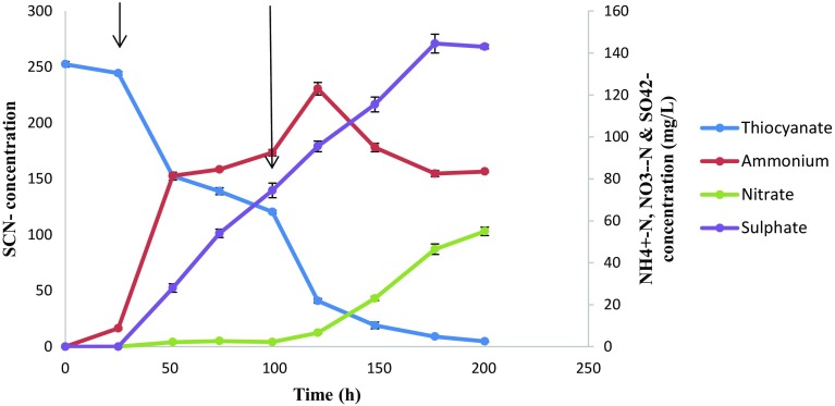 Fig. 6