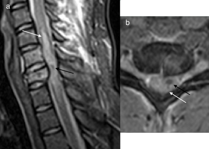 Figure 10. 